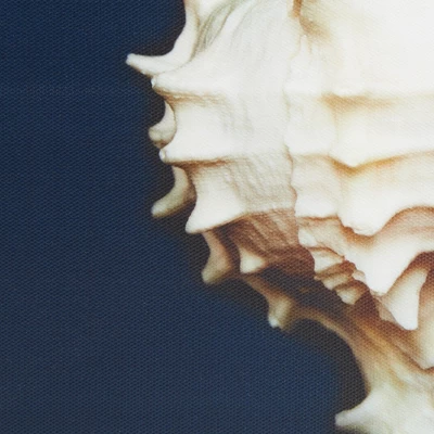 (Set Of 4) 12" Square Ocean Seashells Framed Canvas Decorative Wall Art Set Blue - Image 4