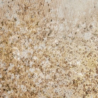 (Set Of 2) 22" X 28" Glimmer Hand Brush Embellished Canvas Gold - Image 4